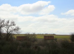 BARCIAL DE LA LOMA - IMG_0608.JPG