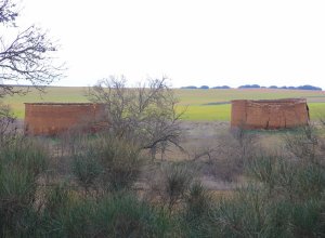BARCIAL DE LA LOMA - IMG_0609.JPG