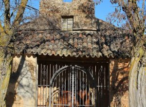 CABREROS DEL MONTE - IMG_4208.JPG