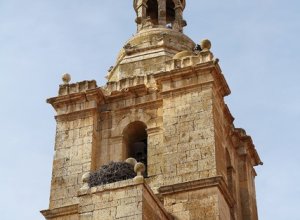 CASTROMONTE - IMG_3619.JPG