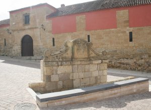 MEDINA DE RIOSECO - 69831.JPG