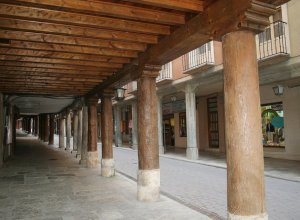 MEDINA DE RIOSECO - IMG_0003.JPG