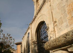 MEDINA DE RIOSECO - IMG_0582.JPG