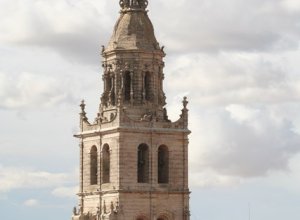 MEDINA DE RIOSECO - IMG_3549.JPG