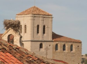 MEDINA DE RIOSECO - IMG_5287.JPG