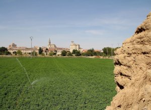 MEDINA DE RIOSECO - Imagen 114.JPG