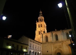 MEDINA DE RIOSECO - Imagen 119.JPG