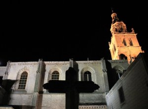 MEDINA DE RIOSECO - Imagen 145.JPG