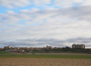 MONTEALEGRE DE CAMPOS - IMG_0891.JPG