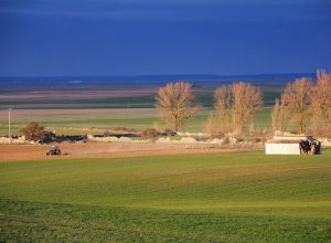 MONTEALEGRE DE CAMPOS - IMG_1046.JPG