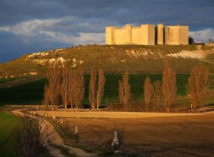 MONTEALEGRE DE CAMPOS - IMG_1055.JPG