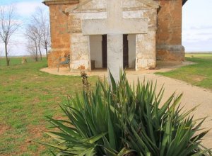 MORALES DE CAMPOS - IMG_0624.JPG