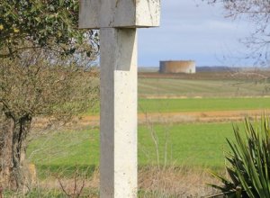 MORALES DE CAMPOS - IMG_0630.JPG