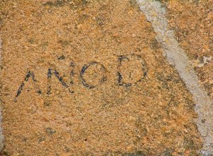 MORALES DE CAMPOS - IMG_0675.JPG