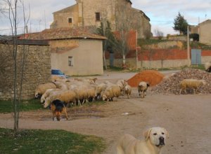 PALACIOS DE CAMPOS - IMG_0865.JPG