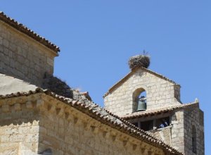 PALACIOS DE CAMPOS - IMG_6117.jpg