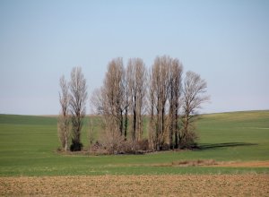 PALAZUELO DE VEDIJA - IMG_3188.JPG