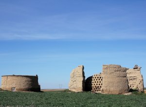 PALAZUELO DE VEDIJA - IMG_3209.JPG