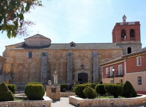 PALAZUELO DE VEDIJA - IMG_3263.JPG