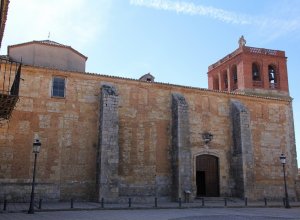 PALAZUELO DE VEDIJA - IMG_3273.JPG