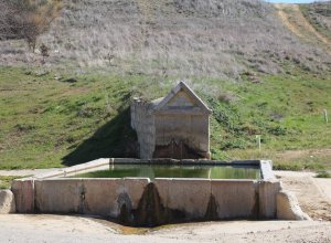 PALAZUELO DE VEDIJA - IMG_3298.JPG