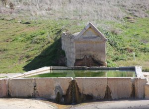 PALAZUELO DE VEDIJA - IMG_3302.JPG