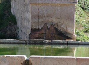 PALAZUELO DE VEDIJA - IMG_3304.JPG