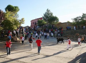 PALAZUELO DE VEDIJA - IMG_6902.JPG