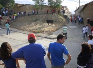 PALAZUELO DE VEDIJA - IMG_9513.jpg