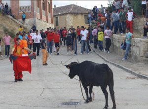 PALAZUELO DE VEDIJA - IMG_9557.jpg