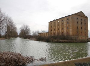 TAMARIZ DE CAMPOS - IMG_0051.JPG