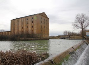 TAMARIZ DE CAMPOS - IMG_0054.JPG