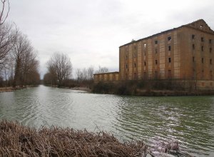 TAMARIZ DE CAMPOS - IMG_0055.JPG