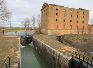 TAMARIZ DE CAMPOS - IMG_0065.JPG