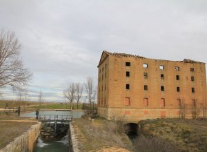 TAMARIZ DE CAMPOS - IMG_0066.JPG