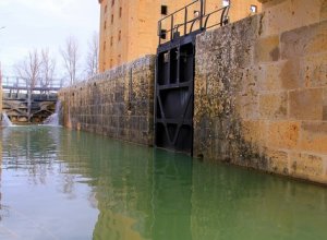 TAMARIZ DE CAMPOS - IMG_0069.JPG