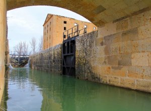 TAMARIZ DE CAMPOS - IMG_0071.JPG