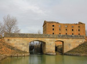 TAMARIZ DE CAMPOS - IMG_0073.JPG