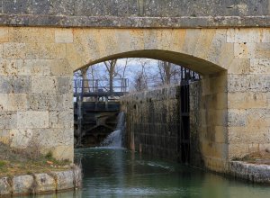 TAMARIZ DE CAMPOS - IMG_0074.JPG