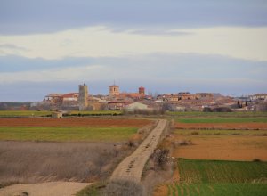 TAMARIZ DE CAMPOS - IMG_0081.JPG