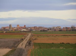 TAMARIZ DE CAMPOS - IMG_0084.JPG