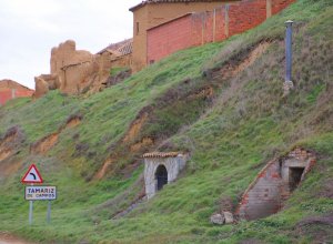 TAMARIZ DE CAMPOS - IMG_0085.JPG