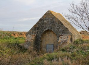TAMARIZ DE CAMPOS - IMG_0138.JPG