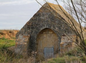 TAMARIZ DE CAMPOS - IMG_0140.JPG