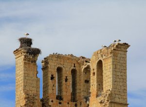 TAMARIZ DE CAMPOS - IMG_0148.JPG