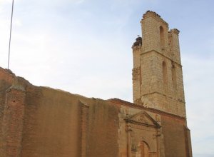 TAMARIZ DE CAMPOS - IMG_0156.JPG
