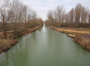 TAMARIZ DE CAMPOS - IMG_0183.JPG