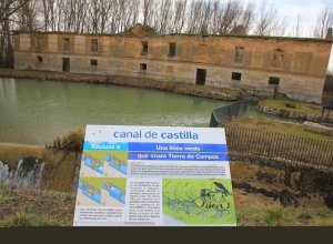 TAMARIZ DE CAMPOS - IMG_0189.JPG