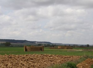 TORDEHUMOS - IMG_2089.jpg