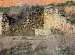TORDEHUMOS - IMG_4380.JPG